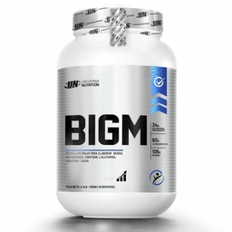 [GP0020] BIGM [ 2Kg FRESA]